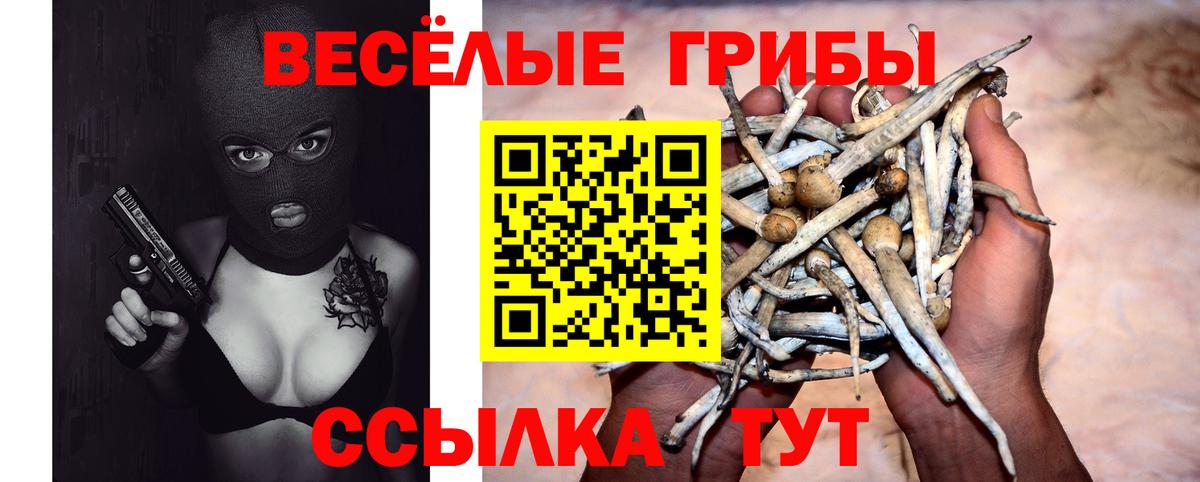 Гусиноозёрск  Псилоцибиновые грибы Psilocybine cubensis  Псилоцибиновые грибы Psilocybe  Вход с VPN 