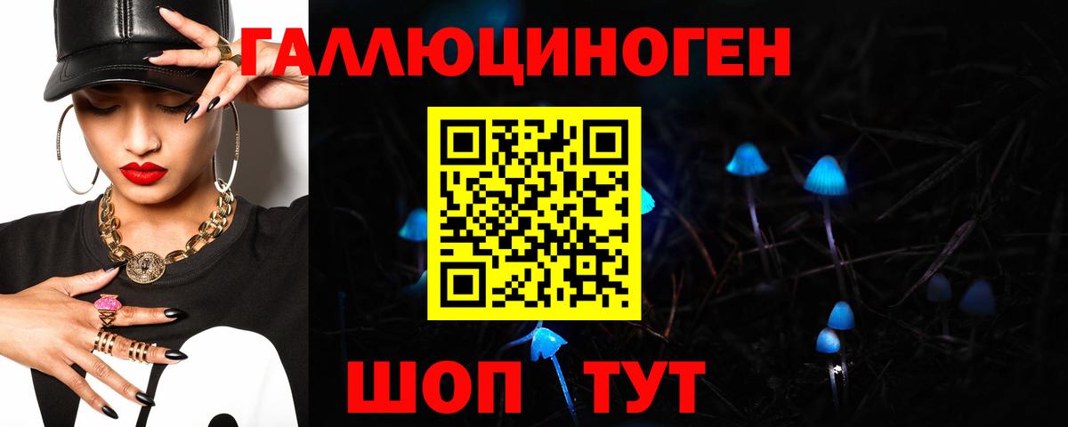 Галлюциногенные грибы ЛСД Гусиноозёрск
